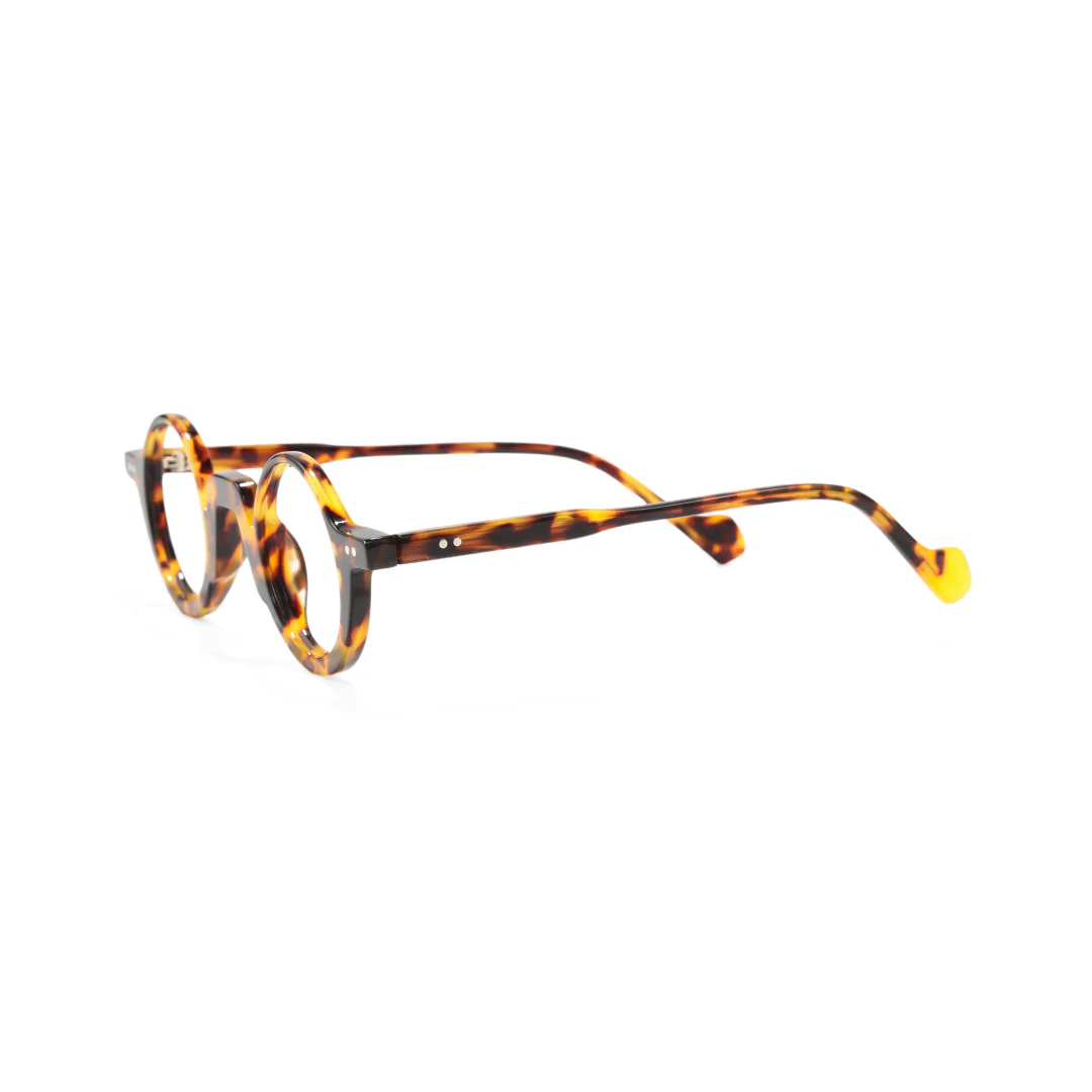 Side view of Dola round acetate eyeglasses RA0322504 in tortoise